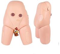 Human Anatomy Models Catheter Insertion Models Medical Practice Mission Models Male and Female Urethral Catheter Insertion Simulator Kit Medical Student Teaching Models(Male)
