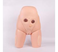 Human Anatomy Models Catheter Insertion Models Medical Practice Mission Models Male and Female Urethral Catheter Insertion Simulator Kit Medical Student Teaching Models(Female)