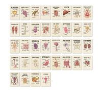 Human Anatomy Notation Card A Visual Learning for Nursing and Exam Preparation Pocket Sized Teaching Card with Labelled Diagrams A for Students and Self Learners 435