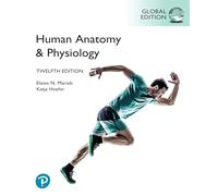 Human Anatomy amp Physiology Global Edition by Katja Hoehn