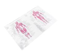 Human Anatomy Poster 40x60cm Cloth Wall Chart White