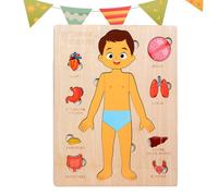 Human Anatomy Puzzle, Wooden Body Parts Learning Toy, 22.8x18x1cm/8.98x7.09x0.39 inches Magnetic Educational Puzzle for Brain Development, STEM Activity, 5 Layers Classroom Travel Use