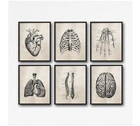 Human Anatomy Science Vintage Posters Art Prints, Medical Anatomy Canvas Painting Medical Doctor Clinic Wall Pictures Decor-30x40cmx6Pcs-No Frame