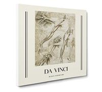 Human Anatomy Vol.1 By Leonardo Da Vinci Canvas Print | Gallery Wrapped 30mm Frame Wall Art | 14x14 inches | Ready to Hang | Classic Picture | Living Room Bedroom Lounge Office