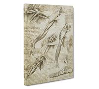 Human Anatomy Vol.1 By Leonardo Da Vinci Canvas Print | Gallery Wrapped 30mm Frame Wall Art | 30x20 inches | Ready to Hang | Classic Picture | Living Room Bedroom Lounge Office