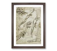 Human Anatomy Vol.1 by Leonardo Da Vinci Framed Print | A2 Walnut Framed Wall Art | Ready to Hang | Modern Historical Picture | Living Room Bedroom Lounge Office