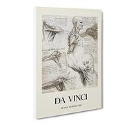 Human Anatomy Vol.3 By Leonardo Da Vinci Canvas Print | Gallery Wrapped 30mm Frame Wall Art | 30x20 inches | Ready to Hang | Classic Picture | Living Room Bedroom Lounge Office