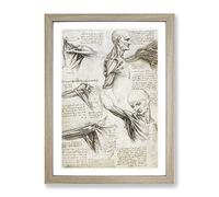 Human Anatomy Vol.3 By Leonardo Da Vinci Classic Painting Framed Print | A2 Oak Framed Wall Art | Ready to Hang | Classic Historical Picture | Living Room Bedroom Lounge Office
