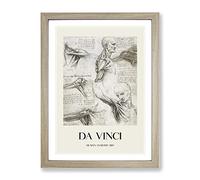 Human Anatomy Vol.3 By Leonardo Da Vinci Exhibition Museum Painting Framed Print | A2 Oak Framed Wall Art | Ready to Hang | Modern Historical Picture | Living Room Bedroom Lounge Office