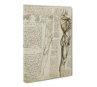 Human Anatomy Vol.6 By Leonardo Da Vinci Canvas Print | Gallery Wrapped 30mm Frame Wall Art | 24x16 inches | Ready to Hang | Classic Picture | Living Room Bedroom Lounge Office