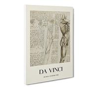 Human Anatomy Vol.6 By Leonardo Da Vinci Canvas Print | Gallery Wrapped 30mm Frame Wall Art | 24x16 inches | Ready to Hang | Classic Picture | Living Room Bedroom Lounge Office