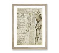 Human Anatomy Vol.6 By Leonardo Da Vinci Classic Painting Framed Print | A4 Oak Framed Wall Art | Ready to Hang | Classic Historical Picture | Living Room Bedroom Lounge Office