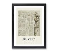 Human Anatomy Vol.6 By Leonardo Da Vinci Exhibition Museum Painting Framed Print | A3 Black Framed Wall Art | Ready to Hang | Modern Historical Picture | Living Room Bedroom Lounge Office