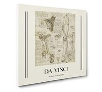 Human Anatomy Vol.7 By Leonardo Da Vinci Exhibition Museum Classic Painting Canvas Wall Art Print Ready to Hang, Framed Picture for Living Room Bedroom Home Office Décor, 14x14 Inch (35x35 cm)