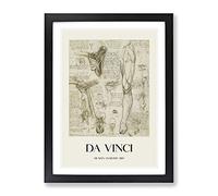 Human Anatomy Vol.7 By Leonardo Da Vinci Exhibition Museum Painting Framed Wall Art Print, Ready to Hang Picture for Living Room Bedroom Home Office Décor, Black A2 (64 x 46 cm)