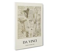 Human Anatomy Vol.7 Leonardo Da Vinci Canvas Print | Gallery Wrapped 30mm Frame Wall Art | 30x20 inches | Ready to Hang | Contemporary Picture | Living Room Bedroom Lounge Office