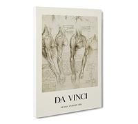 Human Anatomy Vol.8 By Leonardo Da Vinci Canvas Print | Gallery Wrapped 30mm Frame Wall Art | 30x20 inches | Ready to Hang | Classic Picture | Living Room Bedroom Lounge Office