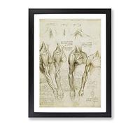 Human Anatomy Vol.8 By Leonardo Da Vinci Classic Painting Framed Print | A3 Black Framed Wall Art | Ready to Hang | Classic Historical Picture | Living Room Bedroom Lounge Office
