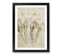 Human Anatomy Vol.8 by Leonardo Da Vinci Framed Print | A2 Black Framed Wall Art | Ready to Hang | Modern Historical Picture | Living Room Bedroom Lounge Office