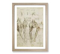 Human Anatomy Vol.8 by Leonardo Da Vinci Framed Print | A2 Oak Framed Wall Art | Ready to Hang | Modern Historical Picture | Living Room Bedroom Lounge Office