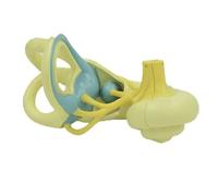 Human Auditory System Ear ModelEar Internal Structure Medical Anatomical Human Organ Model for Doctor Patient Communication Aids Study Display Teaching Medical