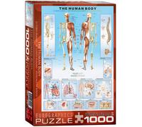 Human Body 1000pc jigsaw puzzle 680mm x 490mm by Eurographics