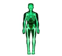 Human Body Anatomy Model - Glow in Dark Organs Toy, Kids Anatomy Toys for Age 8+ Study Learning Experiments Lab Classroom Student Doctor Halloween 11.81x7.09x2.56 inches