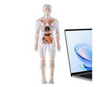 Human Body Anatomy Model | Phosphorescent Figure with Instruments - Anatomy Model for Children | For Scientific Experiments Boys and Girls 8+ Student Doctor Classroom