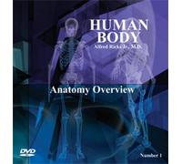 Human Body - Anatomy Overview
