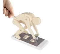 Human Body Bending Weight Lifting Spine Force Demonstration Model, Lumbar Spine Protection Model, Ideal for Posture Training and Biomechanics Study, for Fitness Safety Display