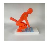 Human Body Bending Weight Lifting Spine Force Demonstration Model, Lumbar Spine Protection Model, Spine Force Teaching Aid(Orange)