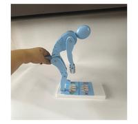 Human Body Bending Weight Lifting Spine Force Demonstration Model, Lumbar Spine Protection Model, Spine Force Teaching Aid(Blue)