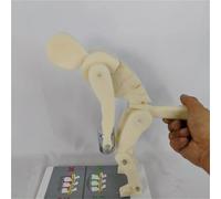 Human Body Bending Weight Lifting Spine Force Demonstration Model, Lumbar Spine Protection Model, Spine Force Teaching Aid(White)
