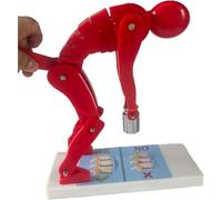 Human Body Correct Lifting Model, Human Spine and Lumbar Intervertebral Disc Weightlifting, Lumbar Spine Protection Teaching Models, Human Body Posture Trainer.