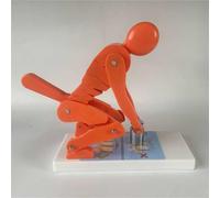 Human Body Correct Lifting Model, Lumbar Spine Protection Model, Correct Posture & Lumbar Spine Protection For Fitness And Training, Posture Correction(Orange)