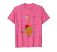Human Body Digestive System Gastrointestinal Tract Anatomy T-Shirt, Men, Pink Heather, Medium