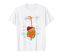 Human Body Digestive System Gastrointestinal Tract Anatomy T-Shirt, Men, White, XX-Large