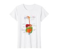 Human Body Digestive System Gastrointestinal Tract Anatomy T-Shirt, Women, White, X-Small