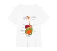 Human Body Digestive System Gastrointestinal Tract Anatomy T-Shirt, Women's Plus, White, 4X