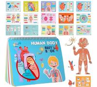 Human Body - Educational Anatomy Activity, Preschool Sensory Toy | Interactive Experiments With Circulation, Muscles, Respiration, Skin For Kids Learning Travel Home Kindergarten Classroom