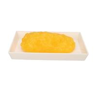Human Body Fat Replica, 1lb Human Fatty Tissue Demonstration Model for Nutritionist Scien Course