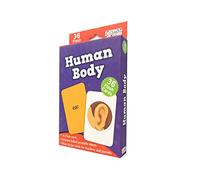 Human Body - Flash Cards (Flash Cards)