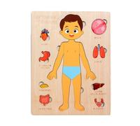 Human Body For Kid DevelopmentToy | Scientific Toys Early Education Toys |
