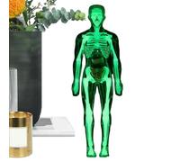 Human Body Glow in Dark Organs Biology