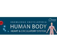 Human Body - Heart And Circulatory System: Knowledge Encyclopedia For Children