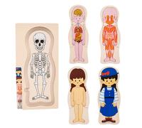 Human Body Jigsaw Puzzles for Boys - Multilayer Human Body Model Jigsaw Puzle, Human Magnetic Puzle | Educational Interactive Detailed Skeleton Puzle for Cognitive Development