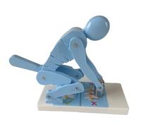 Human Body Lifting Model, Bending Weight Demonstration Model, Spine Force Protection Teaching Tool for Lumbar Support During Fitness