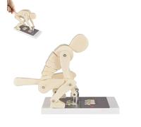 Human Body Lifting Model, Bending Weight Demonstration, Spine Force Protection Teaching Tool for Lumbar Support During Fitness