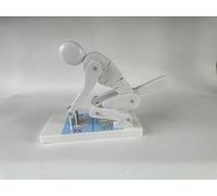 Human Body Lifting Model for Weight Demonstration, Spine Protection Teaching Tool for Lumbar Support During Fitness