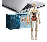 Human Body Model - 3D Interactive Anatomy Model with Organs | Educational Study Tools for School Classroom Home Library Homeschool Elementary Preschool Group Activities